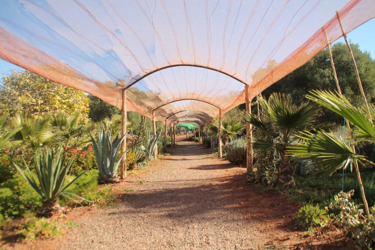 Ecolodge Espace Tamount Демнат Екстер'єр фото